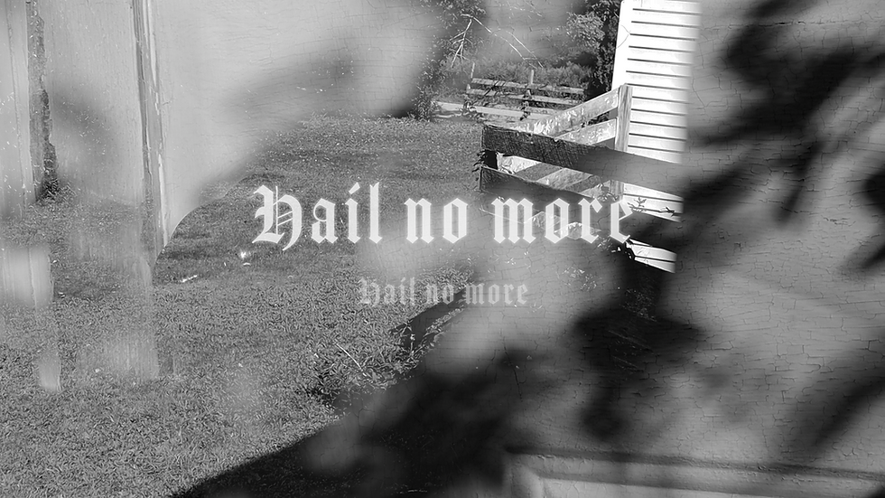 hailnomore banner.png