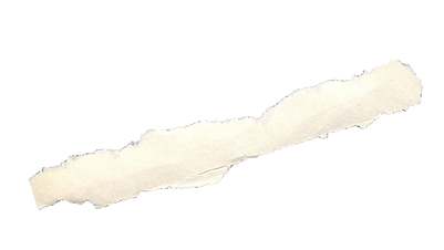 Untitled design (3).png