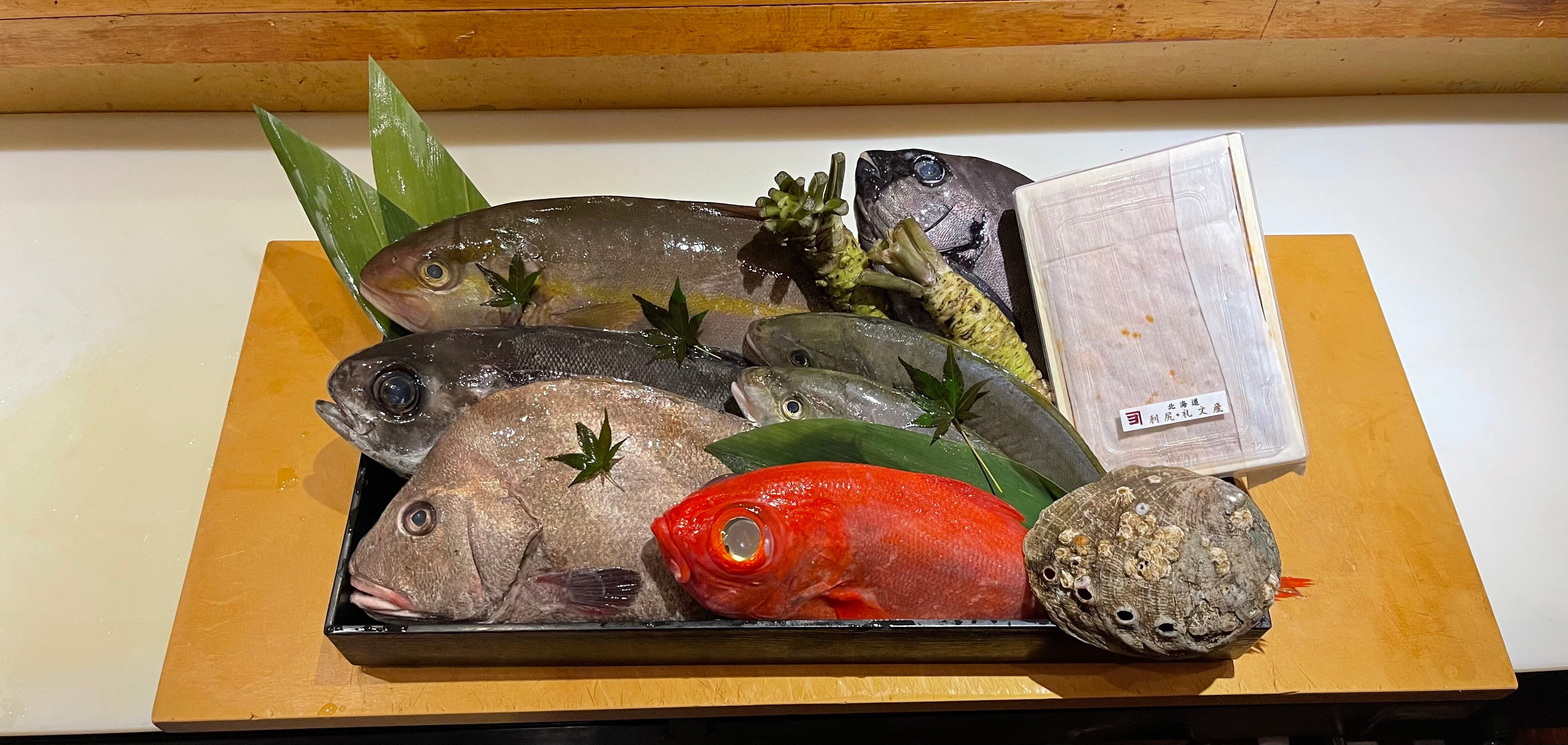 Arranged Food and Objects