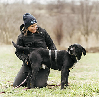 6c865d62-1982-4b84-9f9b-55311f608ce5_edi