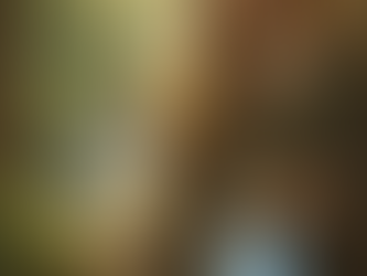 Le 2e de la série sur les émonctoires: Les Reins