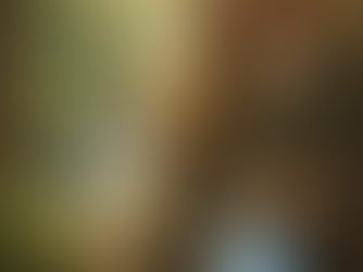 Le 2e de la série sur les émonctoires: Les Reins