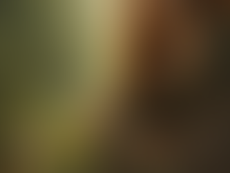 L’écosystème invisible.....