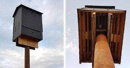 bat houses