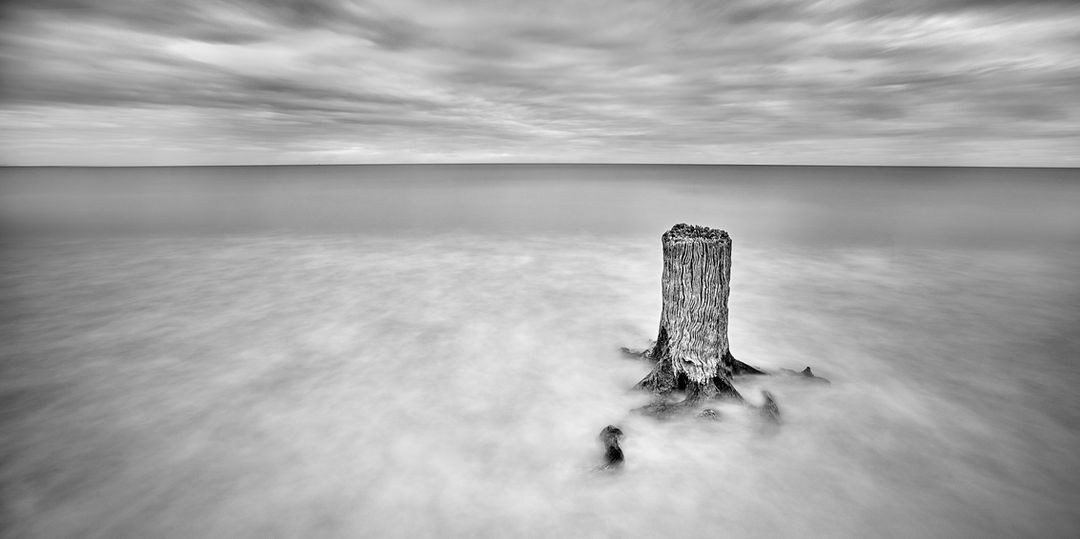 Tim Gill Fine Art and Landscape Photography Coastal Georgia Jekyll Island Driftwood Beach