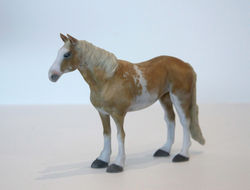 Custom 3D Printed Pets_Madisen