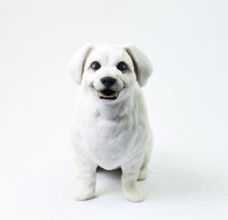 Custom 3D Printed Pets_Oscar