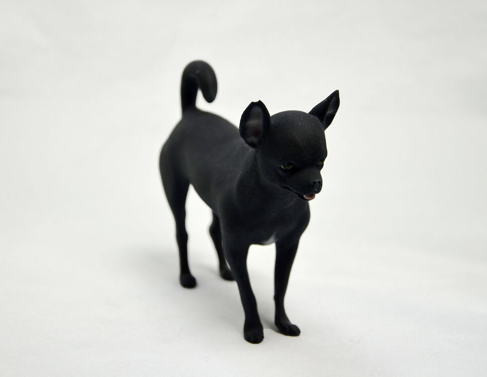 blackchihuahua.jpg