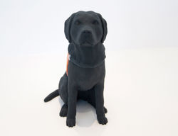 Custom 3D Printed Pets_Juliet