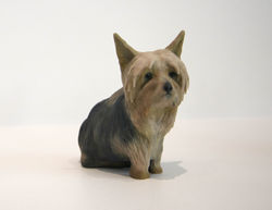 Custom 3D Printed Pets_Jackie Chan