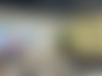 Advisory seminar on the develoPPPP.de programme