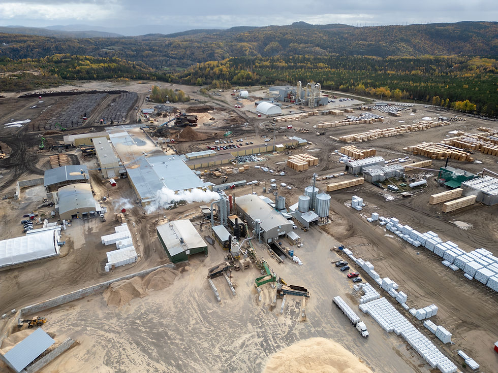 2025 : une année charnière pour Boisaco, entre célébration et résilience
