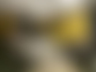 GÜVENİN MUTLULUĞA DÖNÜŞTÜĞÜ BİR ANIMIZ DAHA....