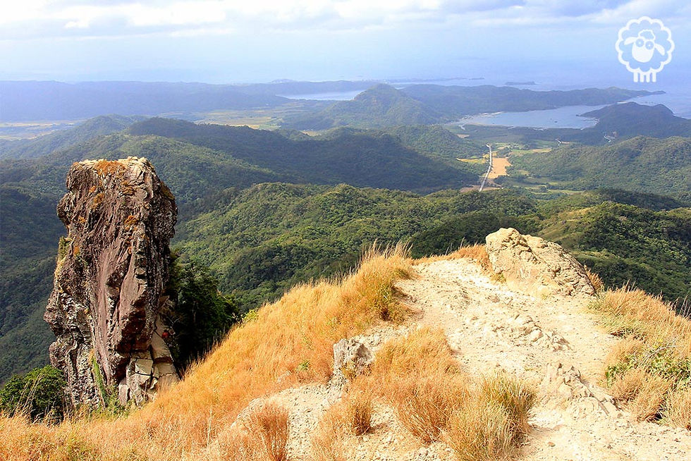 Under the Proclamation No. 1315 s.2007, the Mounts Palay-Palay–Mataas-na-Gulod Protected Landscape is placed under the protection and jurisdiction of the Department of Environment and Natural Resources.