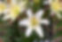 img-68.jpeg