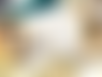 Update on the guinea pigs taken from the hoarding situation