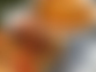 CWI's Vegas VegFest is ON!