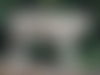 Sanctuary for Animals at the Mirage Las Vegas