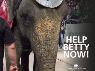Betty Needs You Now!