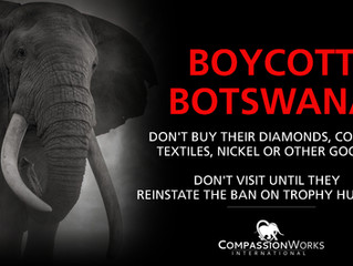 CWI Launches "Boycott Botswana" Campaign