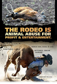 Rodeo protest leaflet