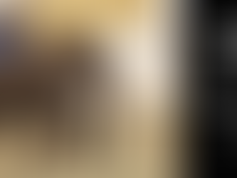 Lonely, aging elephant to give rides at FL event.