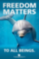 FREEDOM MATTERS DOLPHIN POSTER.jpeg