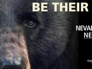 Nevada: Black Bears Need YOU!
