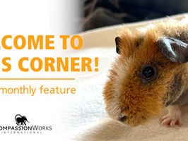 CWI Gains a New Team Member!