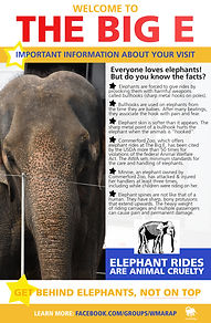 Big E.front.leaflet.jpeg