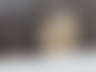 Another Jailed Polar Bear Dead