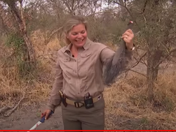 NRA Director & Wife are Elephant Killers