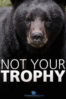 Bear__Trophy_Hunting__Poster_SMALL_jpeg_
