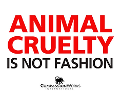 ANIMAL CRUELTY.Poster.png