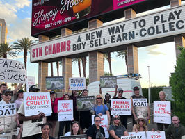 Vegas Stands Strong Against the Evil Fur Industry