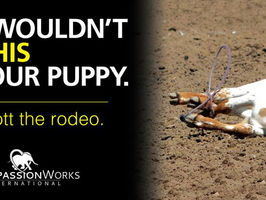 Clear Channel Outdoor Protects Animal Abusers