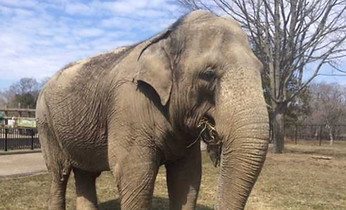 Screenshot 2025-12-28 at 5.15.37 PM.png