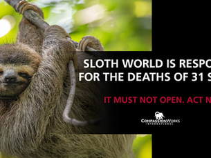 4/23/26 Sloth World death toll reaches 31