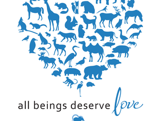 All Beings Deserve Love