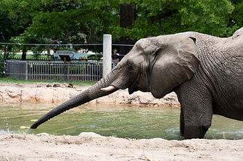 Screenshot 2025-12-28 at 5.22.54 PM.png