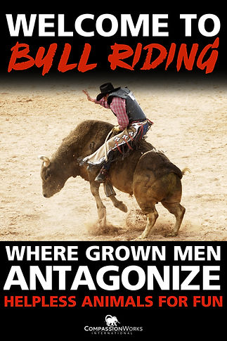 bull riding.poster.jpeg