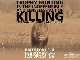 Rally For Cecil! Protest Trophy Hunting!