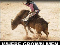 Bull Riding Protest