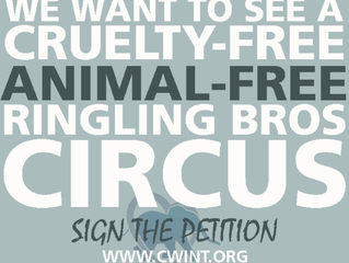 Ringling Returns...Animal Free!