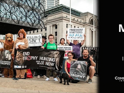 WRATH March For Wildlife