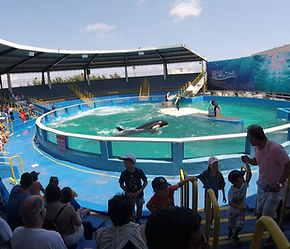 Lolita in Tiny Pool.jpg