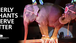 Two elephants on stools under stage lights beside bold text: ELDERLY ELEPHANTS DESERVE BETTER.