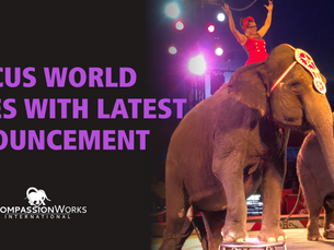 Circus World Deceives With Their Latest Announcement
