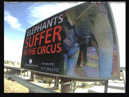 Anti-Animal Circus Campaign in Colorado