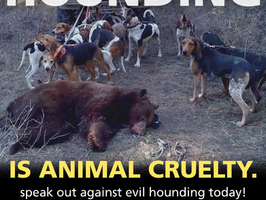 Act for Nevada Bears!